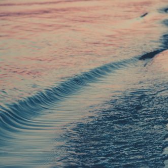 When To Say Goodbye…