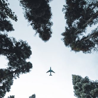 Bad Moms vs. Helicoptor Mamas